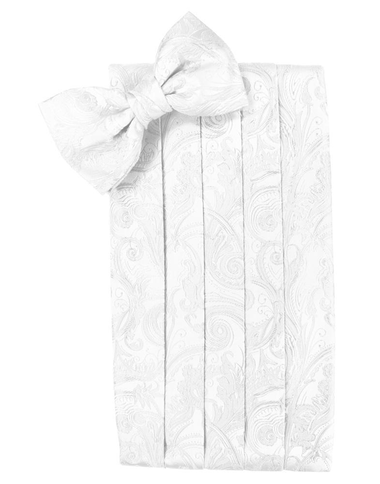 Tapestry Silk Cummerbund & Bow Tie Set-3